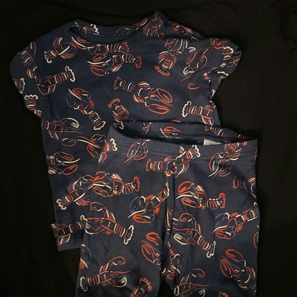 Baby Gap Toddler Boys 18-24 months